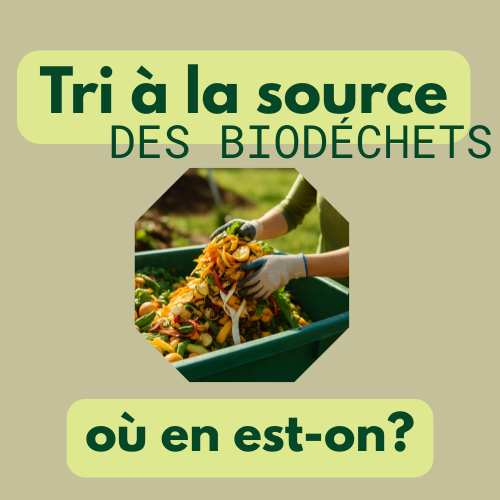 Un an après : bilan du tri à la source des biodéchets
