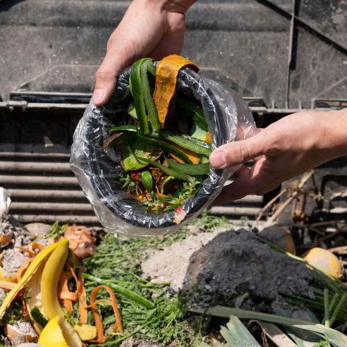 Tri des biodéchets : obligations et solutions